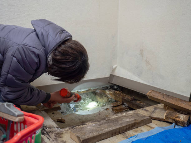 Best HVAC Mold Inspection and Cleaning  in Galeville, NY