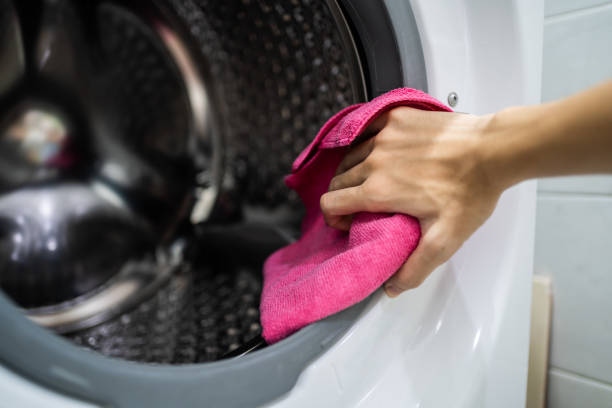 Galeville, NY Mold Removal Company