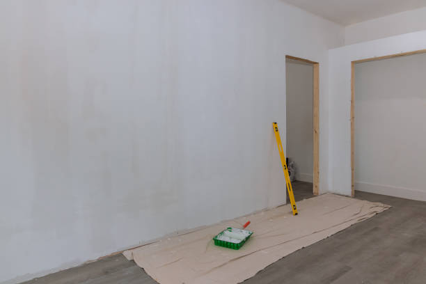 Best Basement Mold Removal  in Galeville, NY