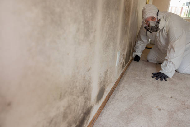 Best Indoor Air Quality Assessment  in Galeville, NY
