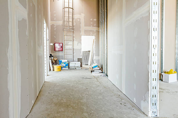 Best Commercial Mold Inspection  in Galeville, NY